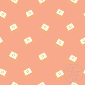 Camera in Peach