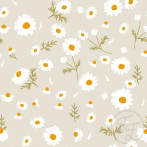 Pearl Daisy
