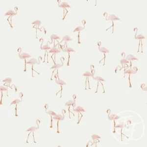 Flamingos