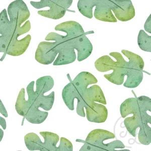 Safari Monstera Big