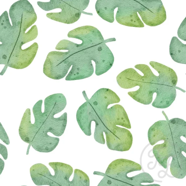 Safari Monstera Big