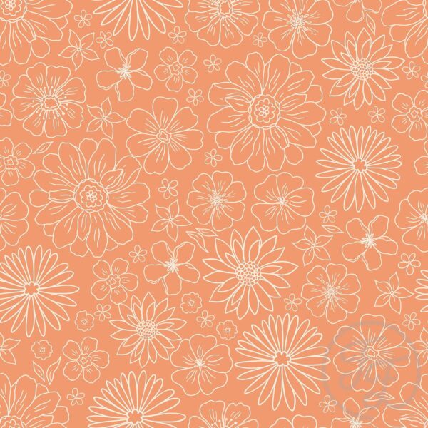 Apricot Blossoms