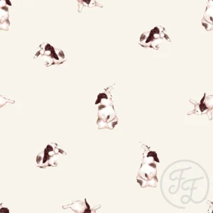 Hopster Rabbit