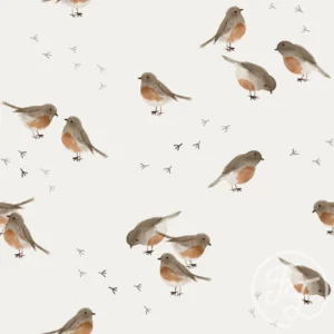 Robin