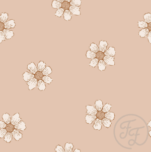 Daisies Coral