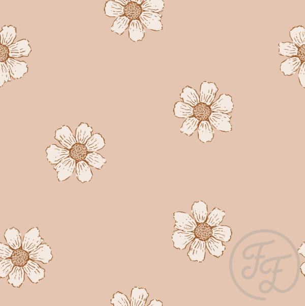 Daisies Coral