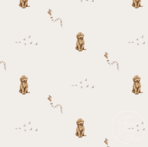 Labradoodle