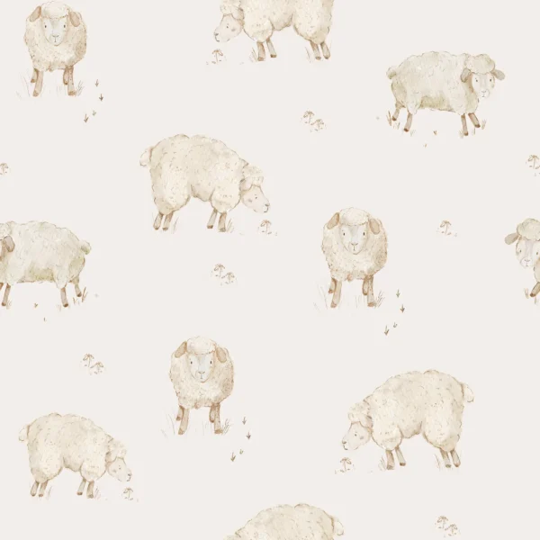 Sheep