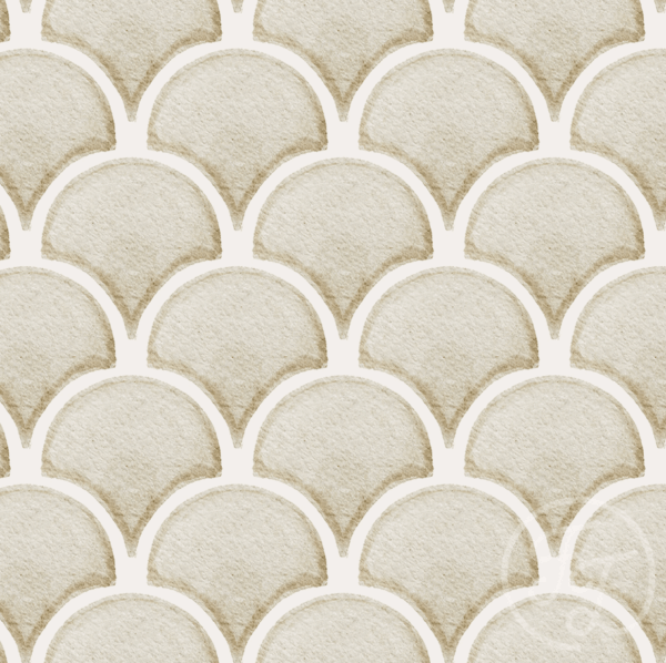 Shells Sand