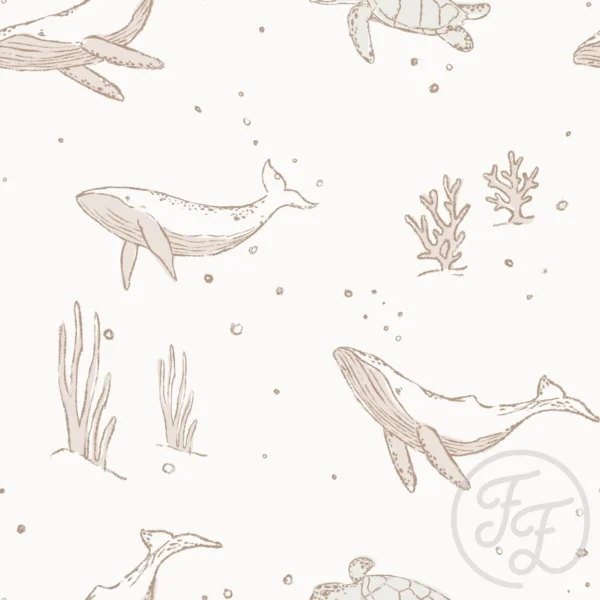 Whales Offwhite