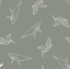 Whale Watching Sage Green