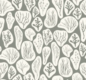 Ocean Botanicals Sage Green