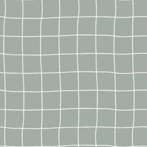 Checked Grey