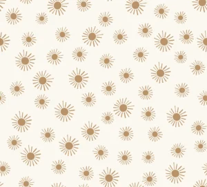 Sunshine Suns Bronze
