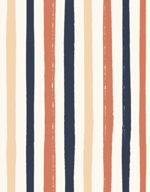 Rough Stripe Multi Terracotta Blue