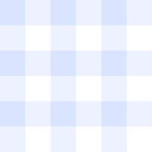 Gingham Blue