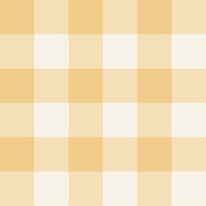 Gingham Sunny Yellow