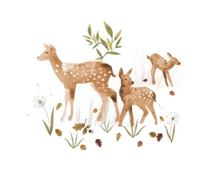 Fawn Transfer Film