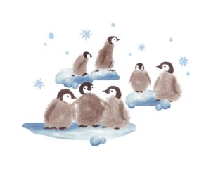 Penguin Transfer Film