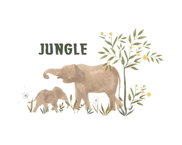 Jungle Transfer Film